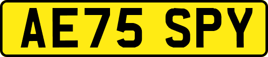 AE75SPY