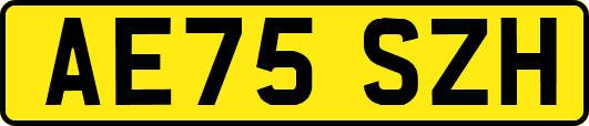 AE75SZH