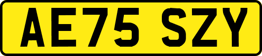AE75SZY