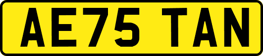 AE75TAN
