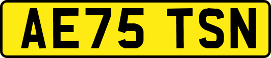 AE75TSN