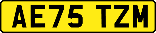 AE75TZM