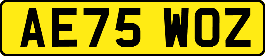 AE75WOZ