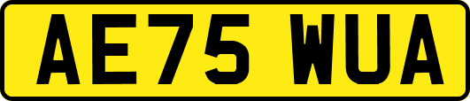 AE75WUA
