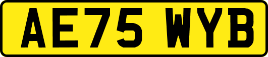AE75WYB