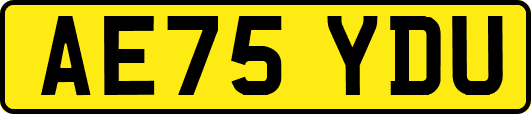 AE75YDU