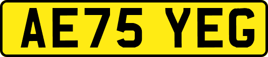 AE75YEG
