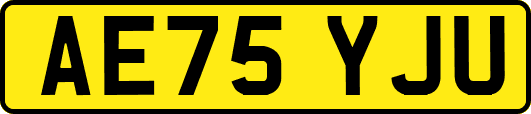 AE75YJU