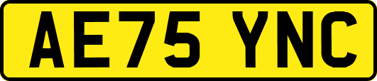 AE75YNC