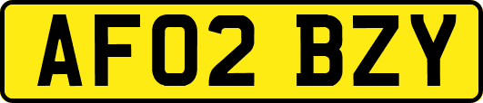 AF02BZY