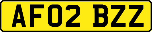 AF02BZZ
