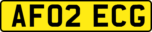 AF02ECG