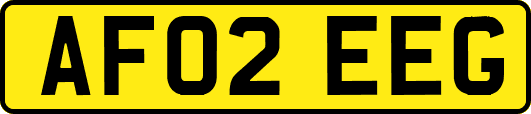 AF02EEG