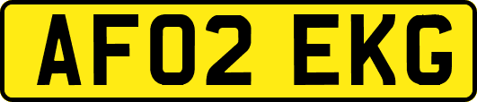 AF02EKG