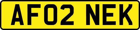 AF02NEK