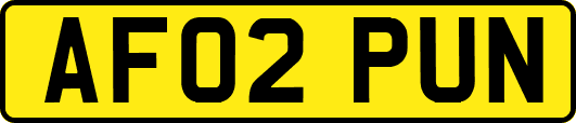 AF02PUN