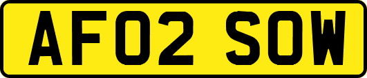 AF02SOW