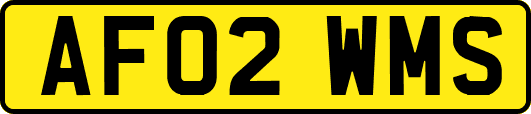 AF02WMS