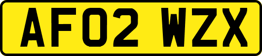 AF02WZX