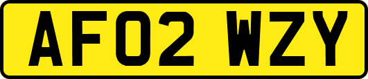 AF02WZY