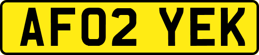 AF02YEK