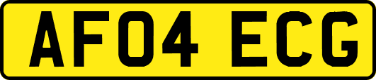 AF04ECG