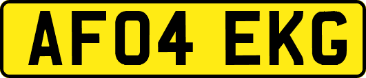 AF04EKG