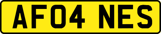AF04NES