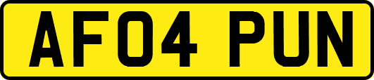 AF04PUN