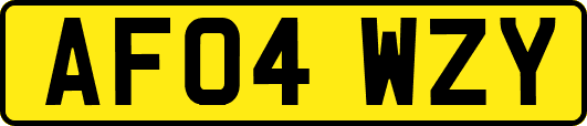 AF04WZY