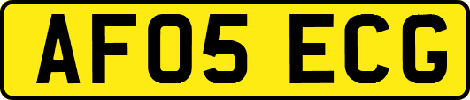 AF05ECG