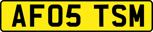 AF05TSM