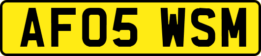 AF05WSM
