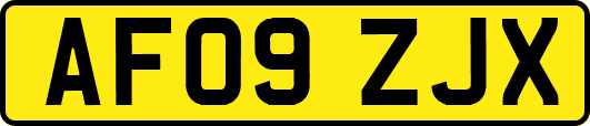 AF09ZJX