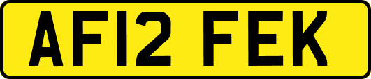 AF12FEK