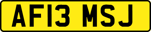 AF13MSJ