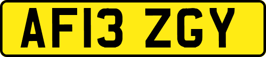 AF13ZGY