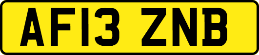 AF13ZNB