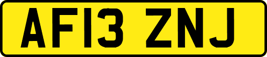 AF13ZNJ