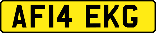 AF14EKG