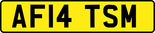 AF14TSM