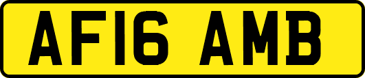 AF16AMB
