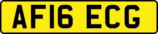 AF16ECG