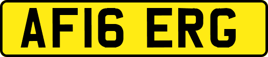 AF16ERG