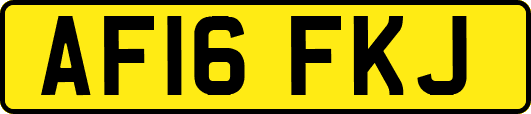 AF16FKJ