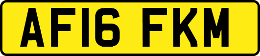 AF16FKM