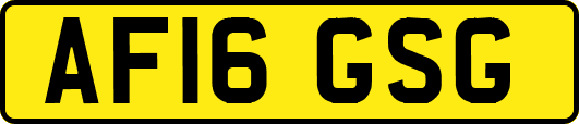 AF16GSG