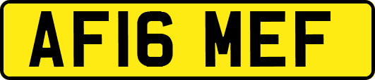 AF16MEF
