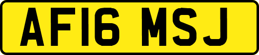 AF16MSJ