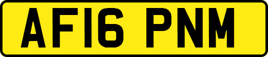 AF16PNM
